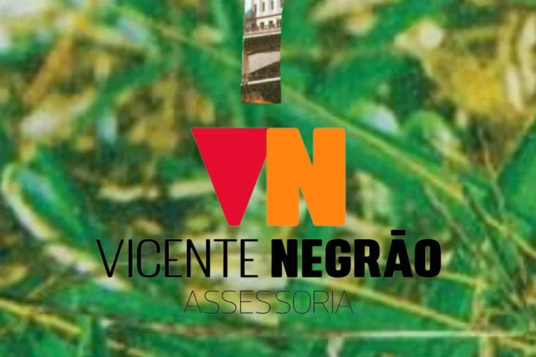 Vicente Negrão Assessoria